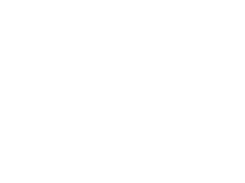 Camping Blank Eck Logo